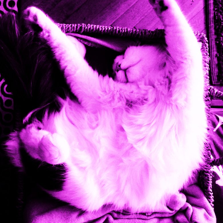 DJ Babilonska - Chudomix Thumbnail